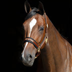 Horse Halter product image 9