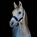 Horse Halter product image 10