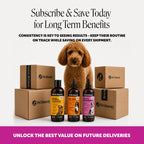 Liquid Dog Multivitamin product image 7