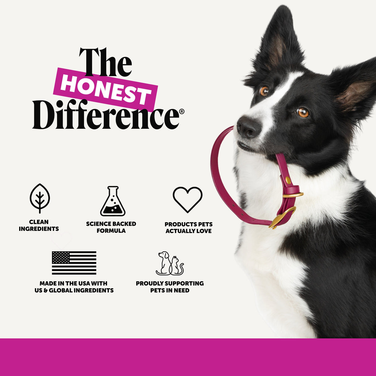 Liquid Dog Multivitamin product image 8
