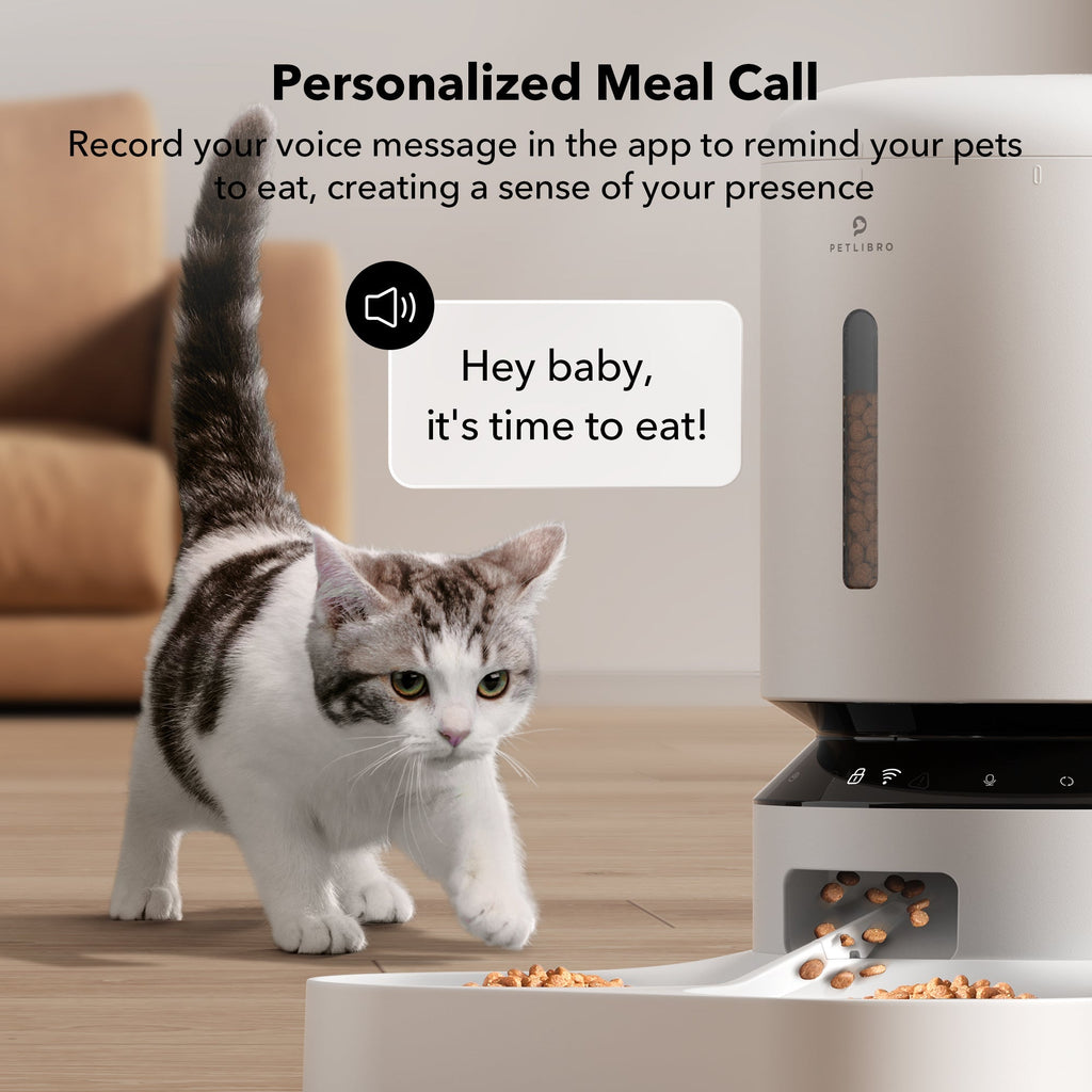 Automatic Pet Feeder product image 5