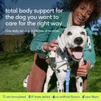 Pet Health Supplement product image 2