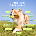 Pet Health Supplement product image 5