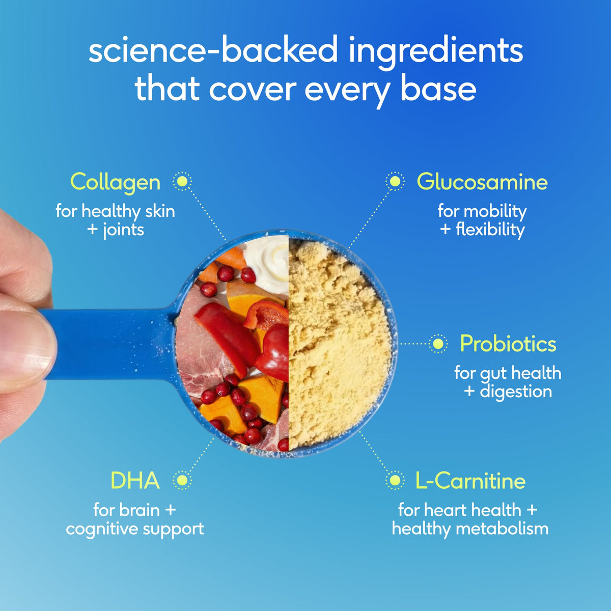Pet Health Supplement product image 6