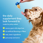 Pet Health Supplement product image 8