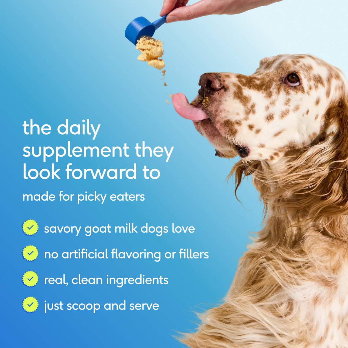 Pet Health Supplement product image 8