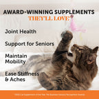 Chicken Dual-Texture Hip and Joint Chews for Cats product image 2