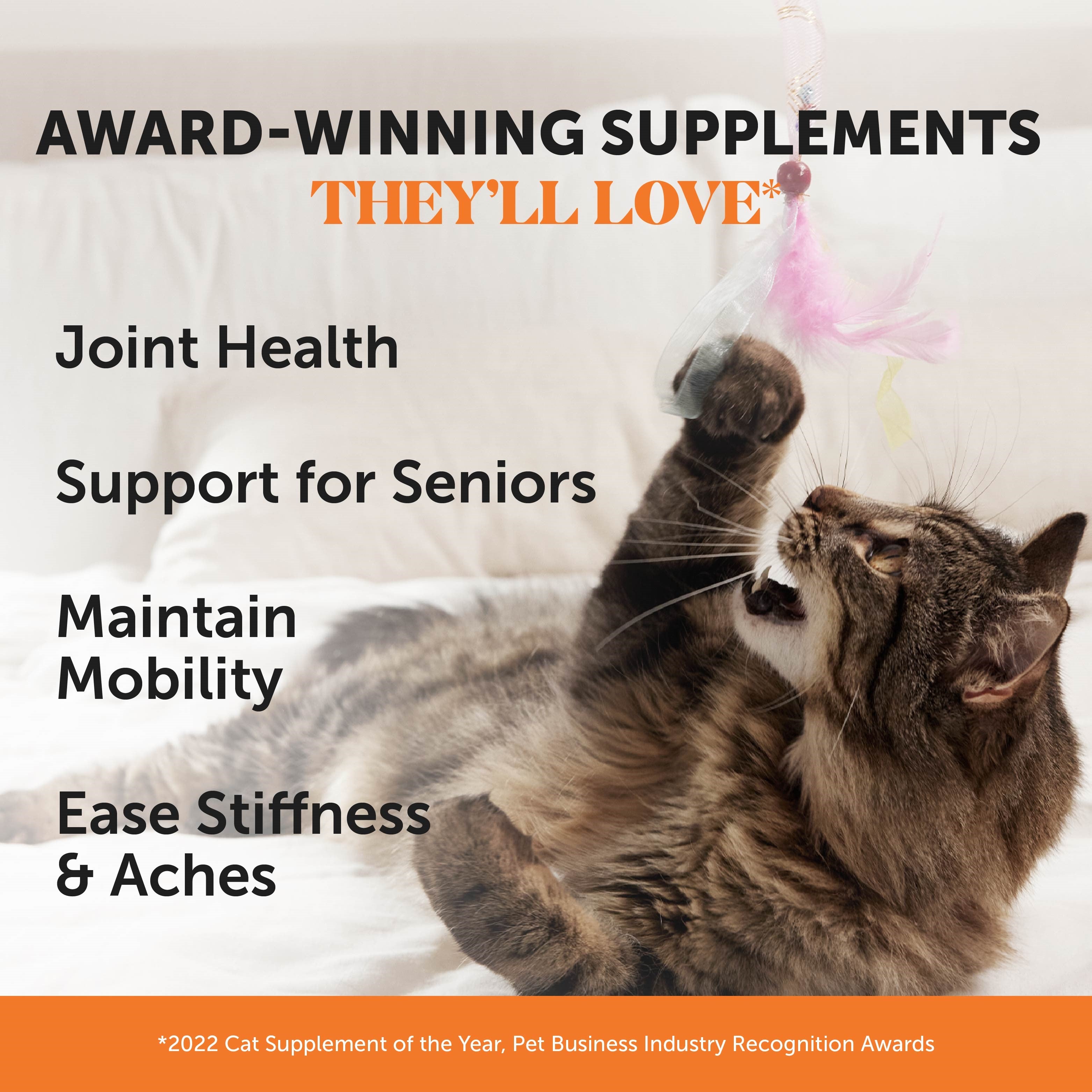 Chicken Dual-Texture Hip and Joint Chews for Cats product image 2