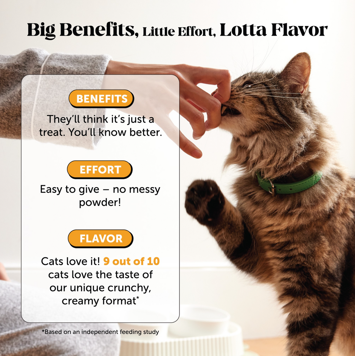 Cat Immune Supplement product image 8