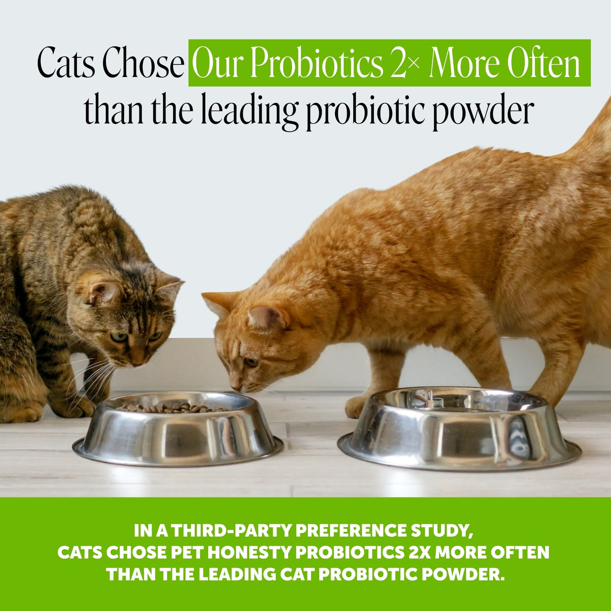 Cat Probiotic Supplement product image 2