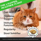 Cat Probiotic Supplement product image 3
