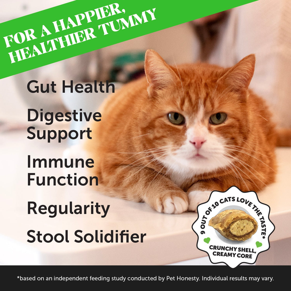 Cat Probiotic Supplement product image 3