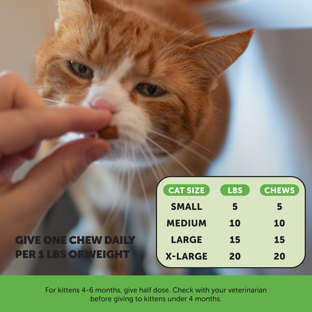 Cat Probiotic Supplement product image 6
