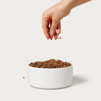 Dog Food Starter Pack product image 4