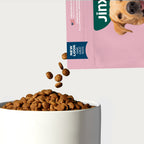 Dog Food Starter Pack product image 6