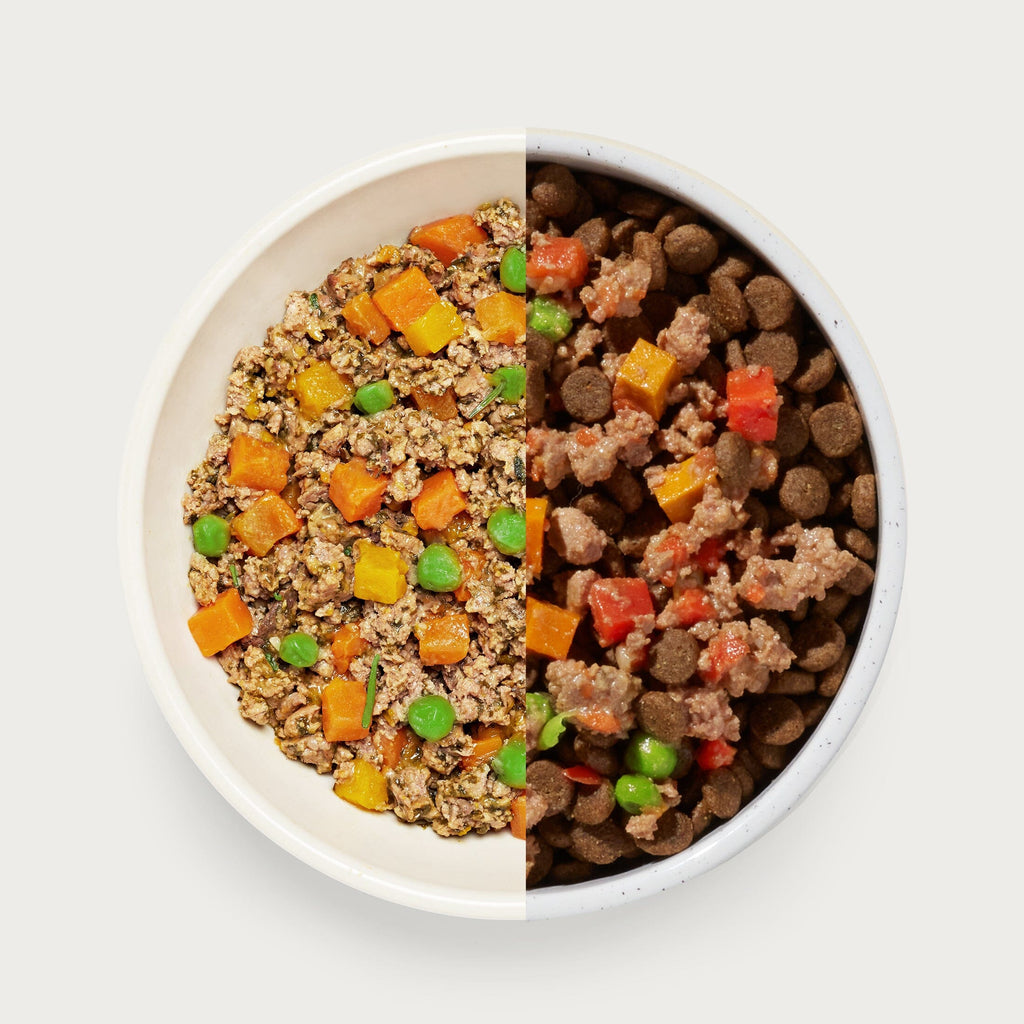 Wet Dog Food product image 3