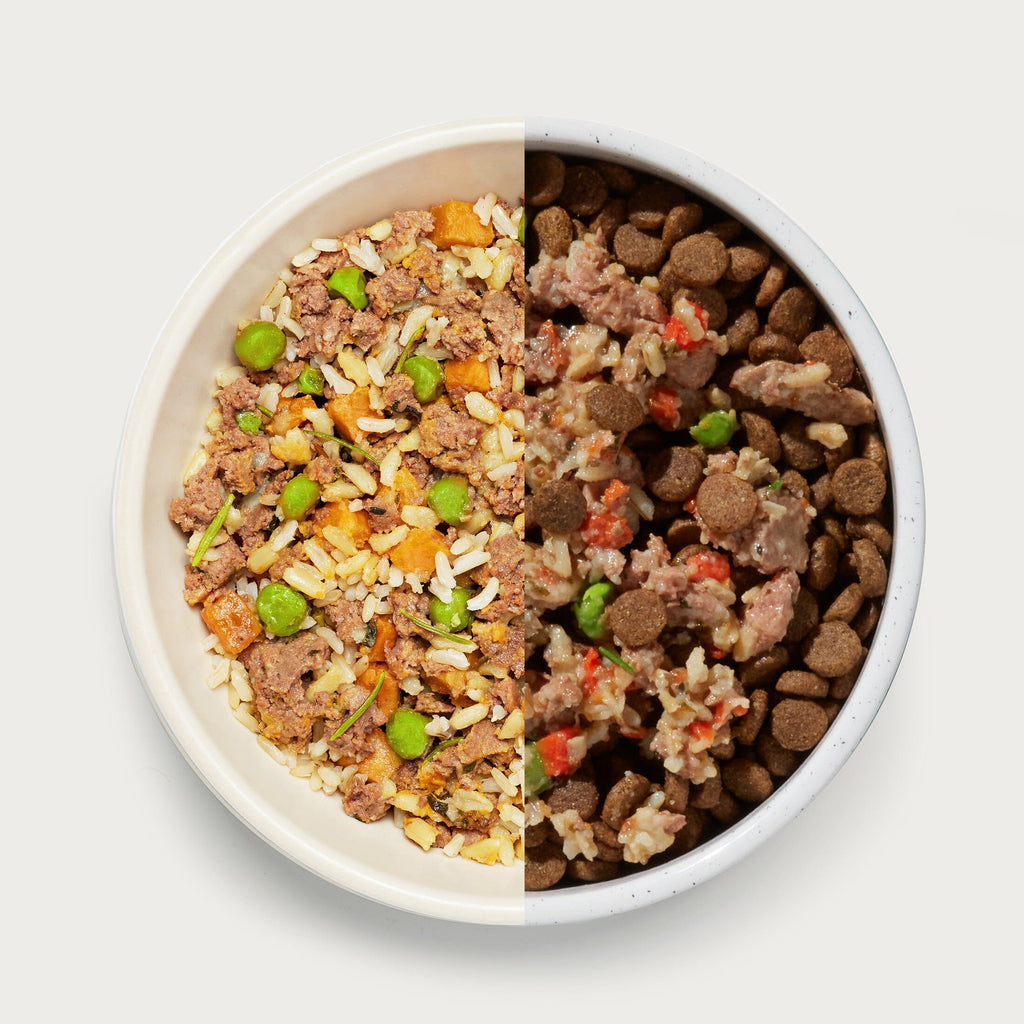 Wet Dog Food product image 5