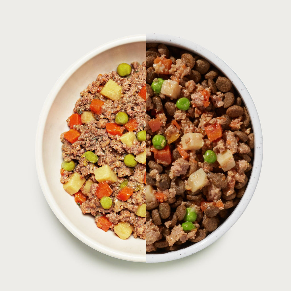 Wet Dog Food product image 6