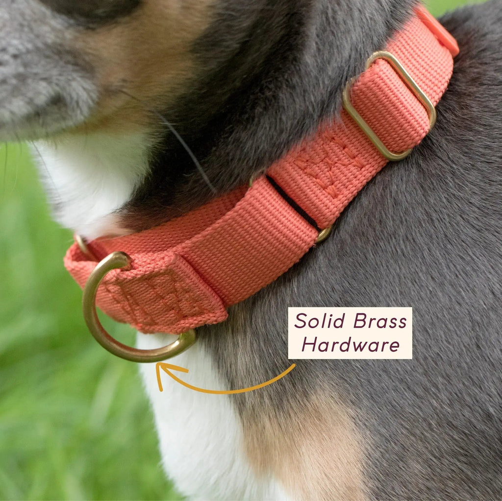 Martingale Collar product image 8