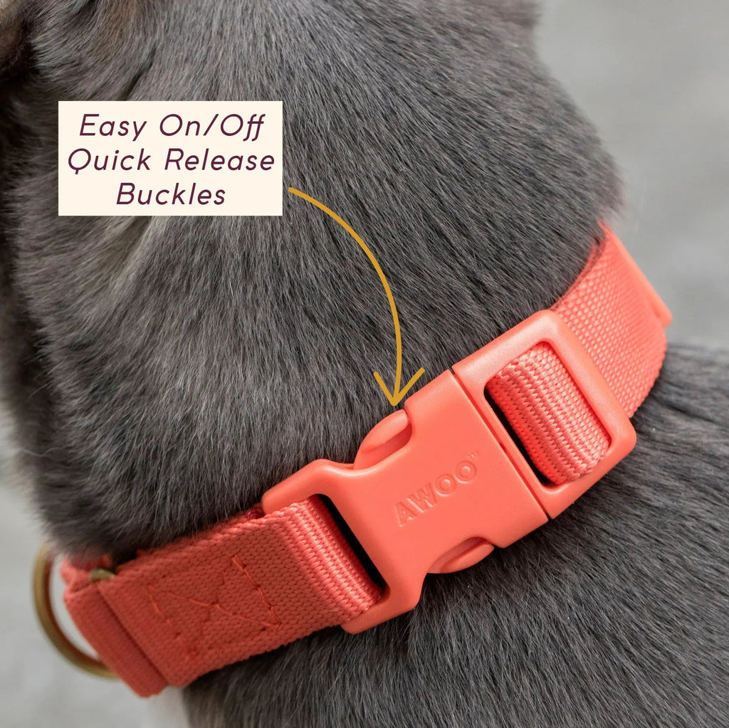 Martingale Collar product image 9