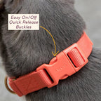 Martingale Collar product image 9