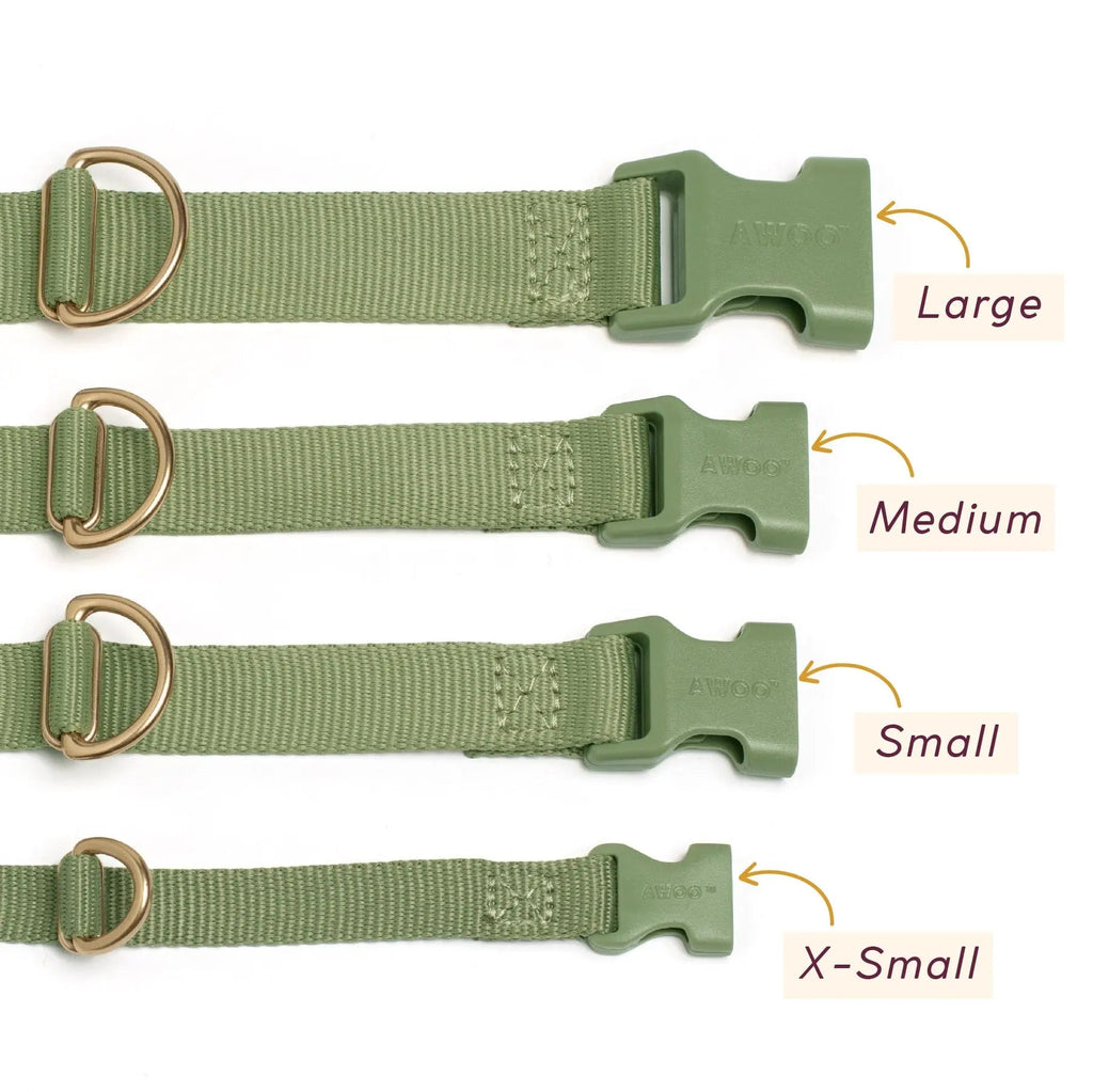 Martingale Collar product image 10