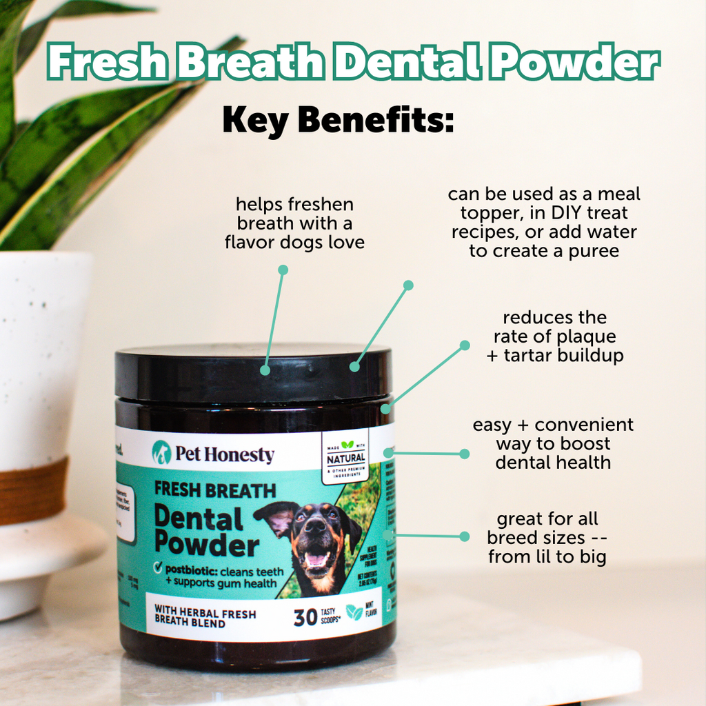 Dog Multivitamin and Dental Powder Bundle product image 7