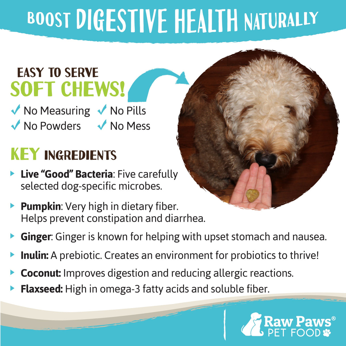 Probiotic Dog Treats, 10 oz: Daily Digestive Support for Training, Snacking, and Everyday Routines