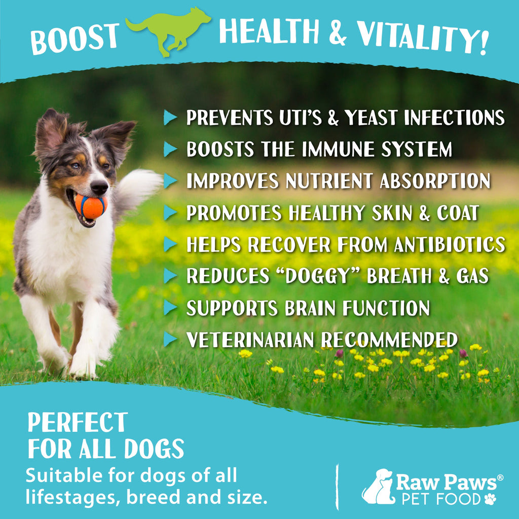 Probiotic Dog Treats, 10 oz: Daily Digestive Support for Training, Snacking, and Everyday Routines