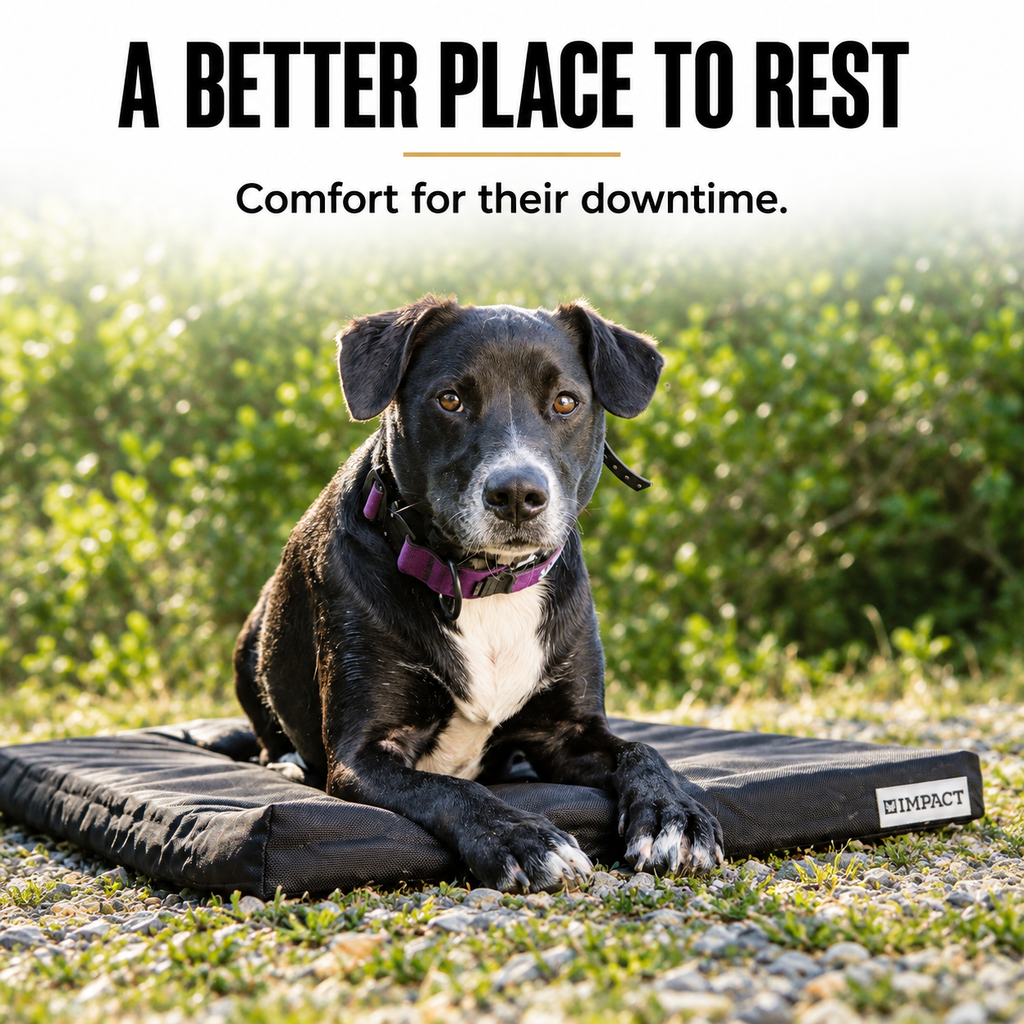 Orthopedic Dog Crate Pad product image 7