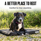 Orthopedic Dog Crate Pad product image 7