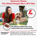 Heartworm Prevention Chew product image 6