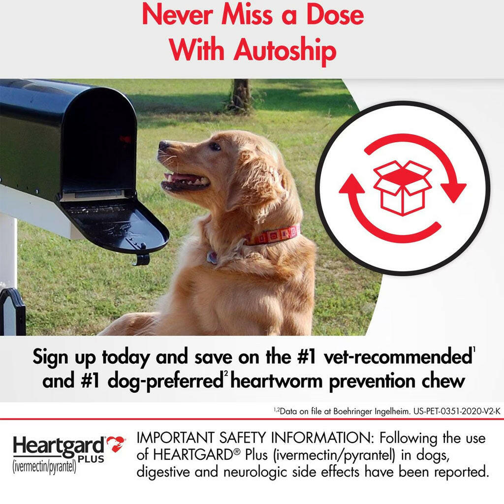 Heartworm Prevention Chew product image 8