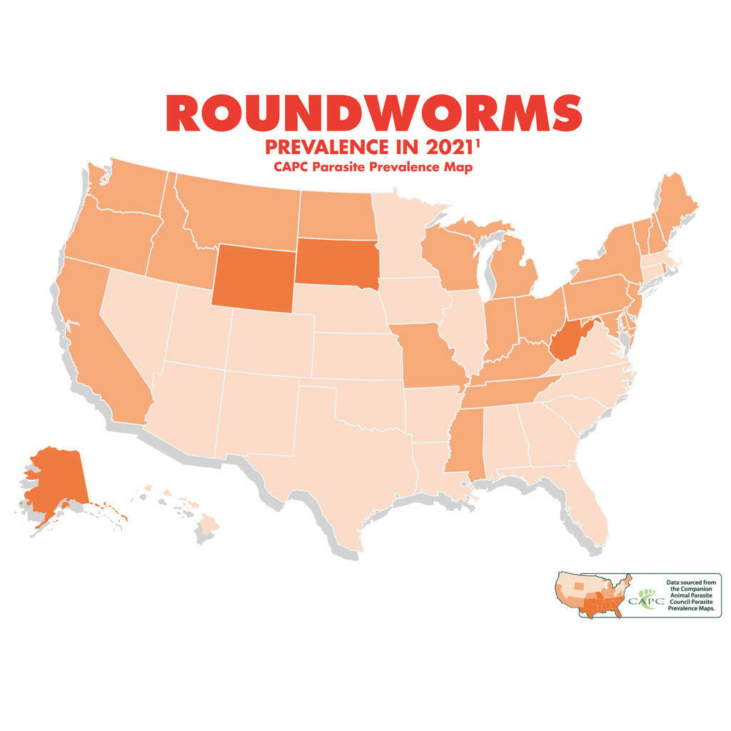 Heartworm Prevention Chew product image 10