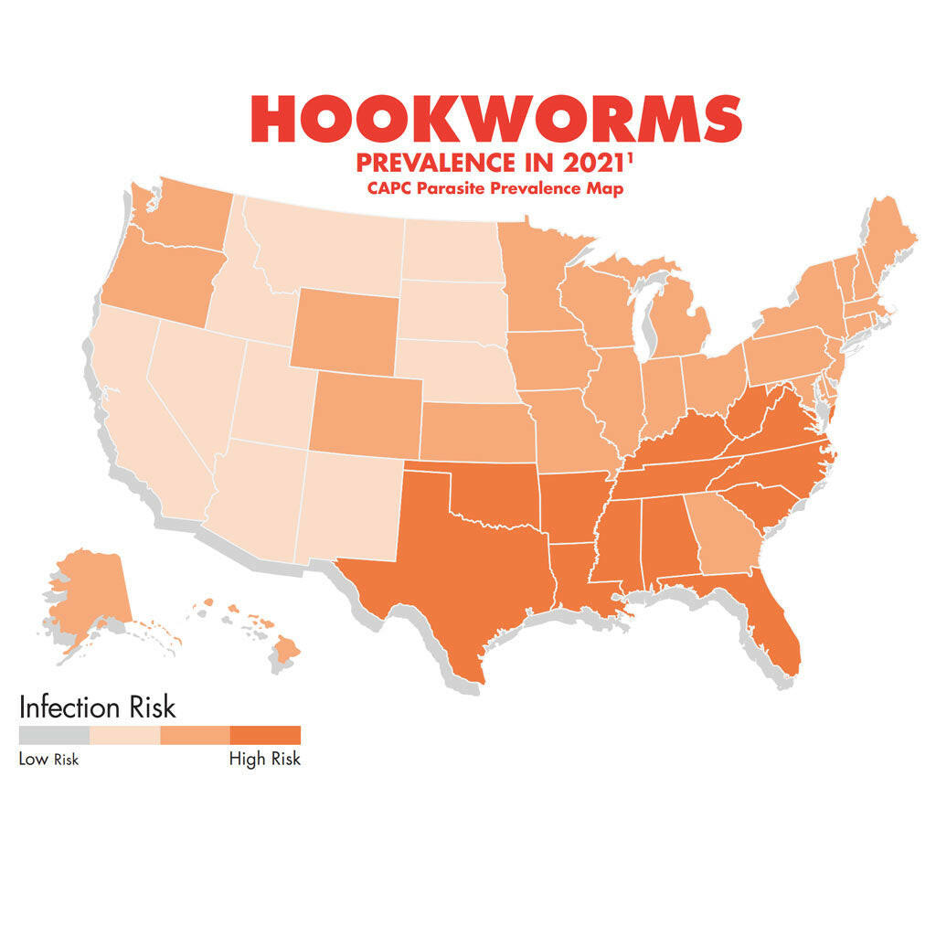 Heartworm Prevention Chew product image 11