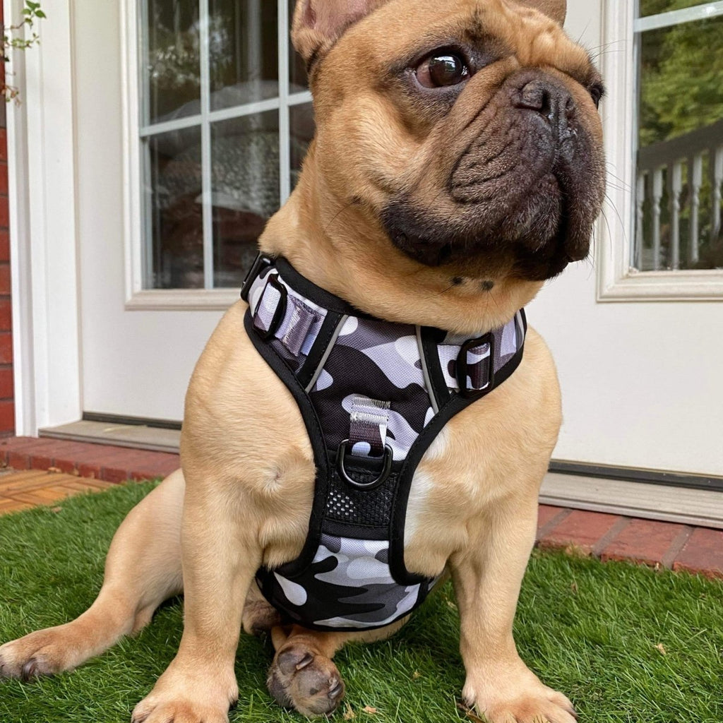 No Pull Dog Harness product image 2