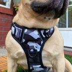 No Pull Dog Harness product image 4