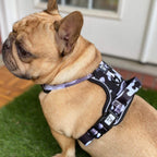 No Pull Dog Harness product image 5