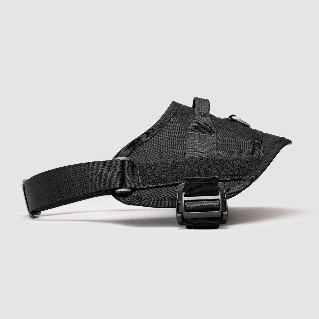 Dog Harness product image 1
