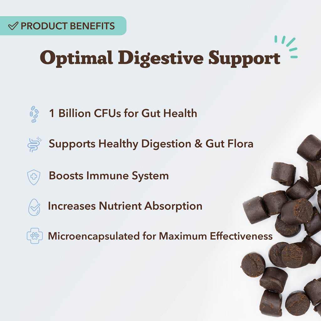Dog Probiotic Chews product image 3