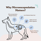 Dog Probiotic Chews product image 4