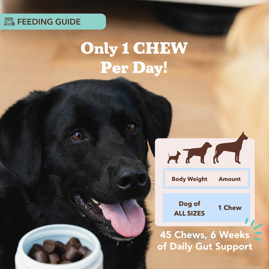 Dog Probiotic Chews product image 8