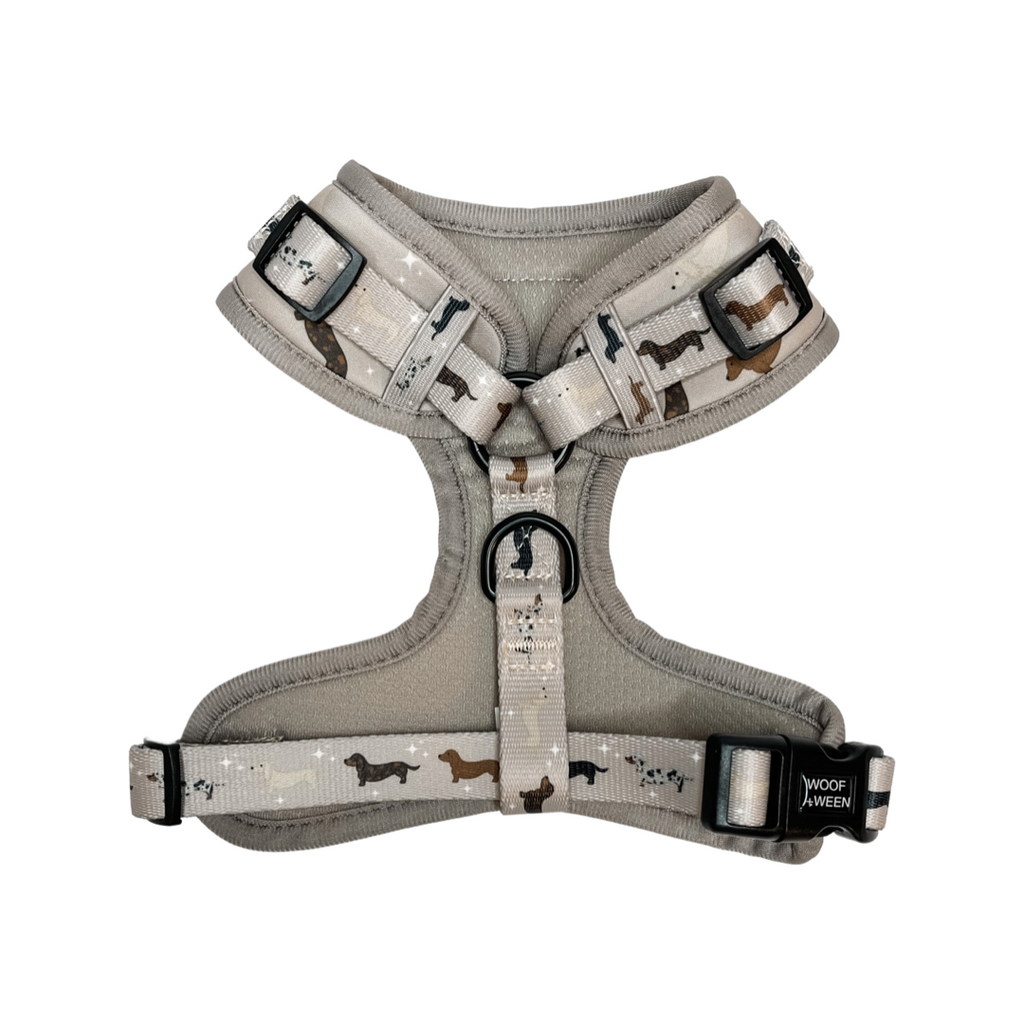 Dachshund Harness product image 2