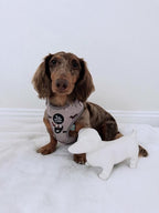 Dachshund Harness product image 4