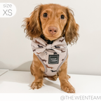 Dachshund Harness product image 7