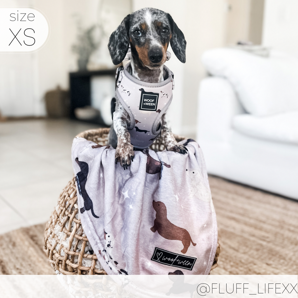 Dachshund Harness product image 8