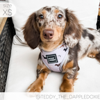 Dachshund Harness product image 9