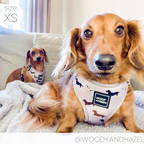 Dachshund Harness product image 10
