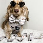 Dachshund Harness product image 12