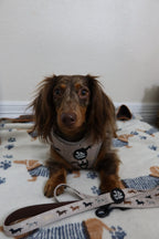 Dachshund Harness product image 15